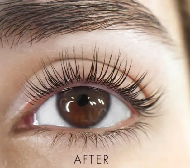 lash lifts effect